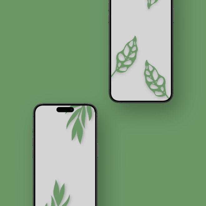 Download the Minimalist Leaves Wallpapers for iPhone