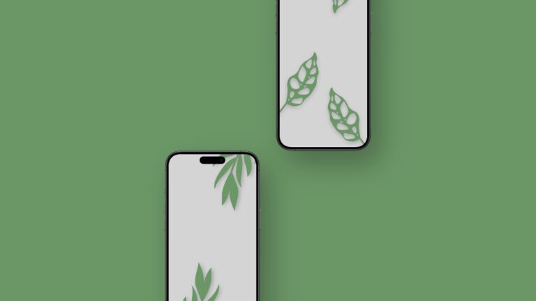 Download the Minimalist Leaves Wallpapers for iPhone