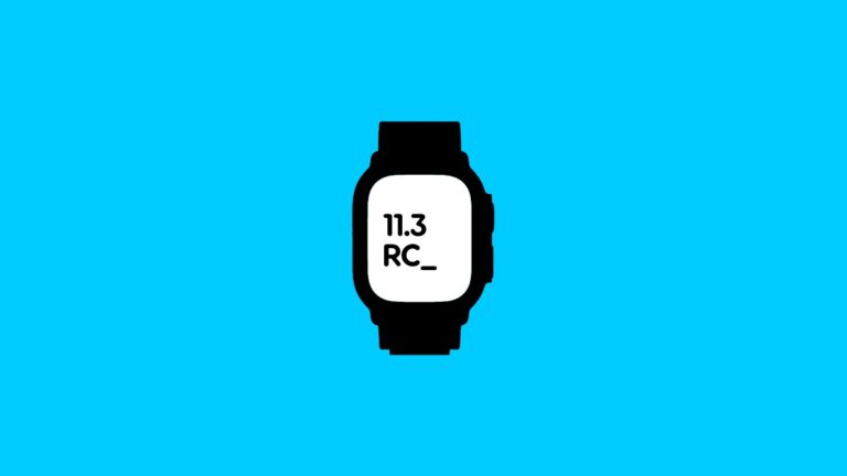 Download watchOS 11.3 RC for Apple Watch