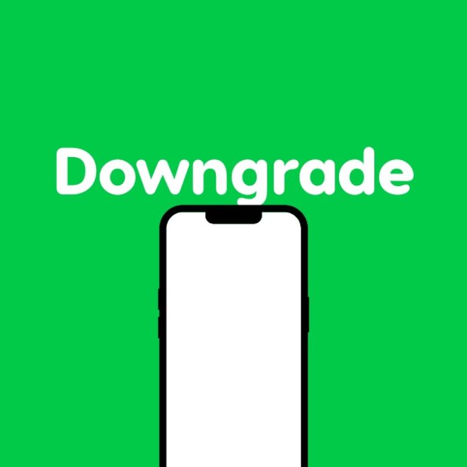 How to Downgrade iOS 18.3.1 to iOS 18.3 on iPhone, iPad [Update]