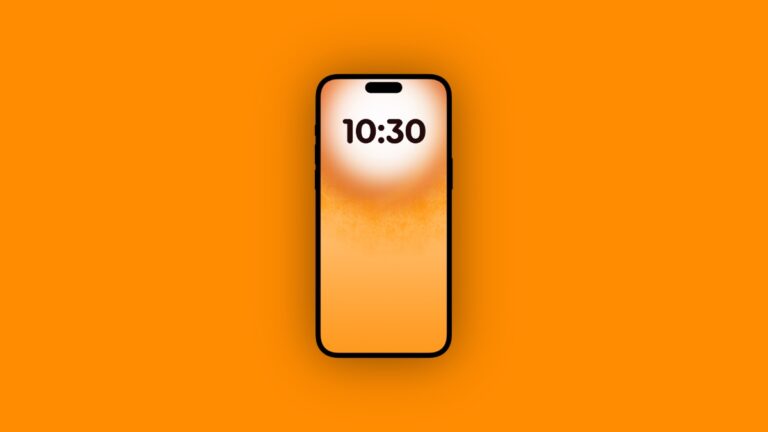 Download the Summer Sun Wallpaper for Your iPhone