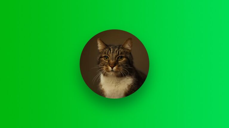 Apple Intelligence Removes Cats from Photos in Latest Ad