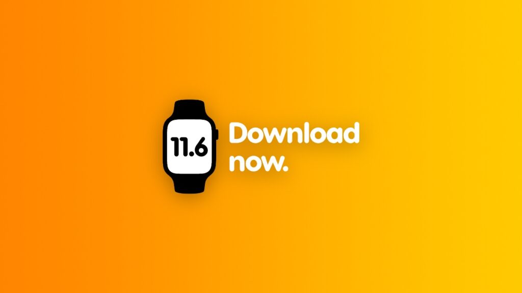 Download watchOS 11.6 update for Apple Watch.