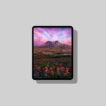 Get a Flat $100 Discount on Apple’s M5 iPad Pro with 5G