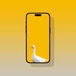 Download the Goose Wallpaper for iPhone