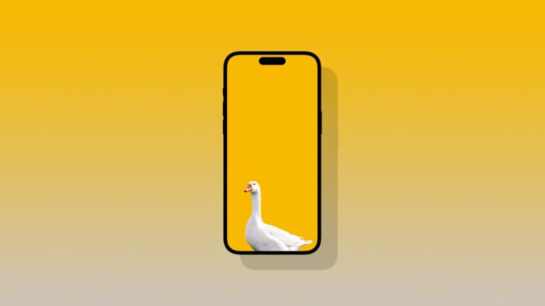 Download the Goose Wallpaper for iPhone